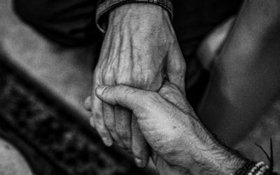 Rapport d’activités 2019