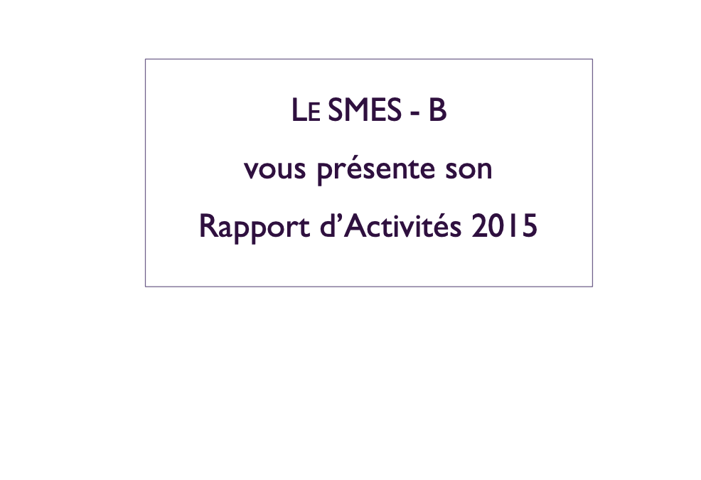 Rapport d’activités 2015
