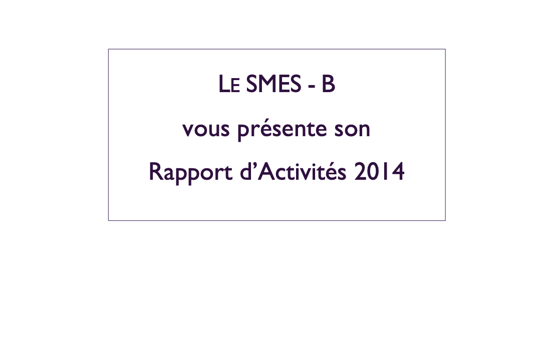 Rapport d’activités 2014