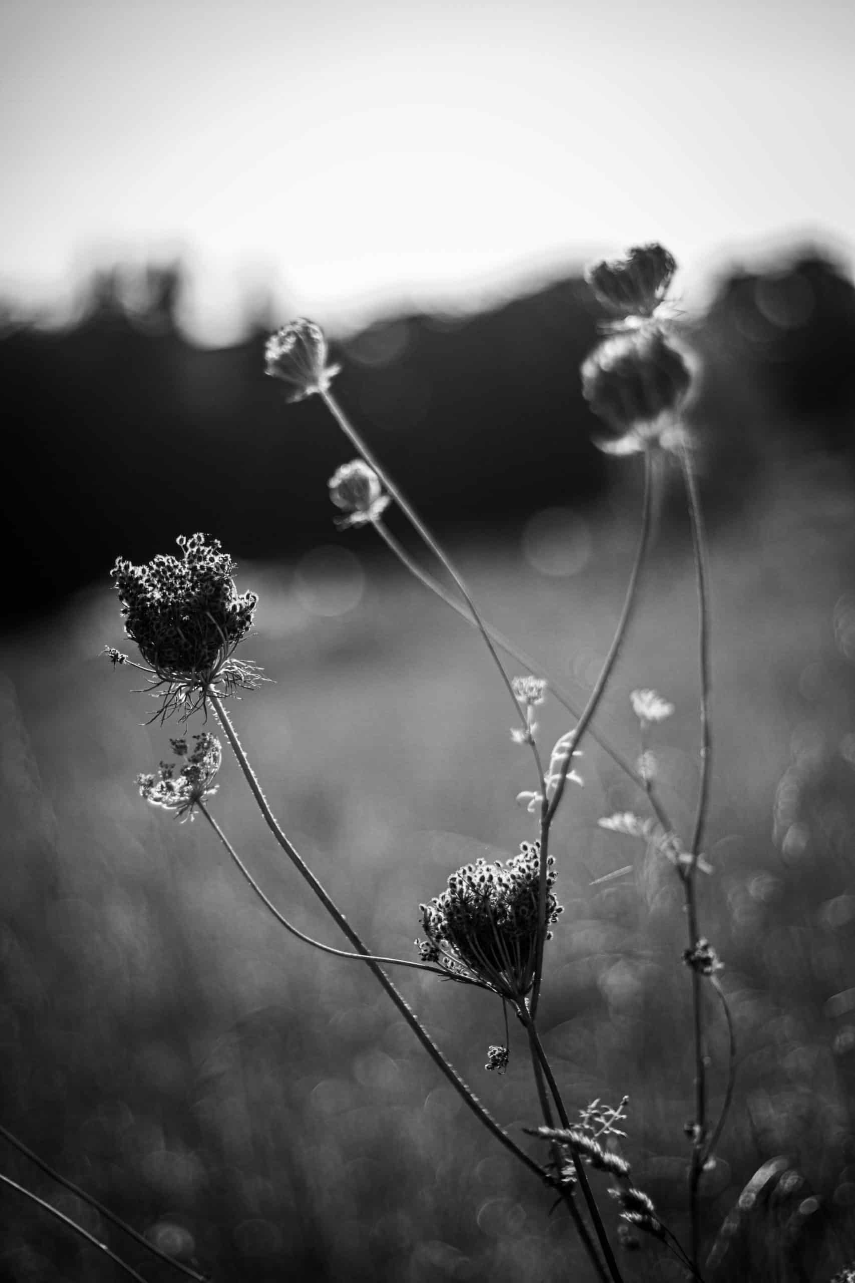 Table d’échanges « La mort des usagers dans les services de l’aide et du soin »
