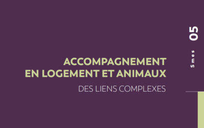 Accompagnement en logement et animaux – Des liens complexes