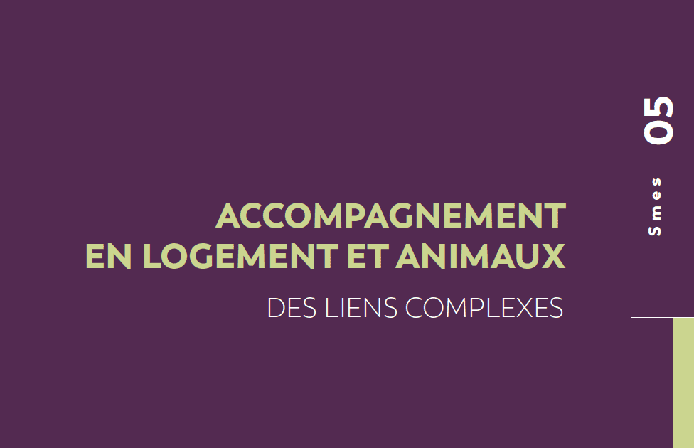 Accompagnement en logement et animaux – Des liens complexes