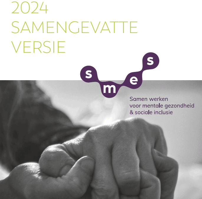 Activiteitenverslag 2024 samengevatte versie